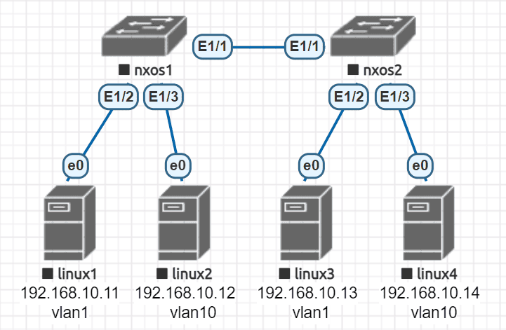 nxos1 と nxos2 を接続し、各スイッチに VLAN 1 と VLAN 10 の Linux 端末を接続するトポロジ