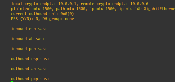 show crypto ipsec sa の出力で inbound と outbound の SA が空の状態